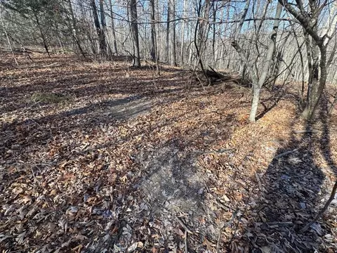 tbd 001 Plumlee Rd, Compton, AR 72611 photo 15