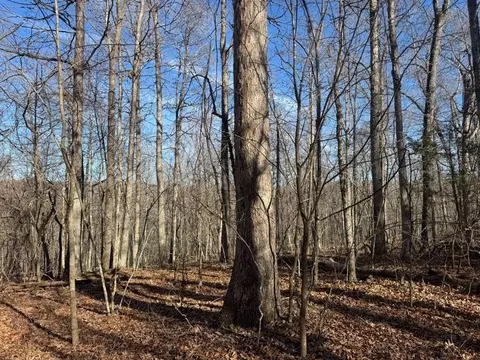 tbd 001 Plumlee Rd, Compton, AR 72611 photo 11