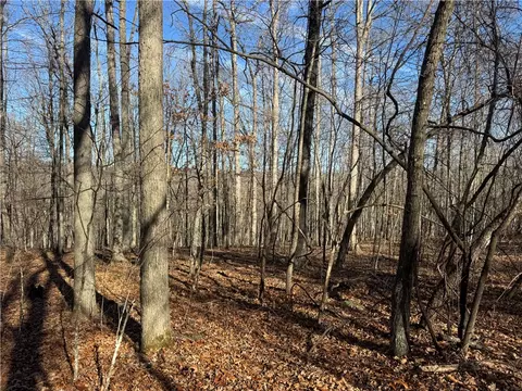 tbd 001 Plumlee Rd, Compton, AR 72611 photo 8