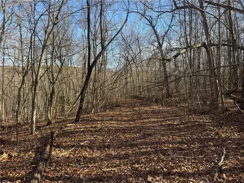 tbd 001 Plumlee Rd, Compton, AR 72611 photo 19