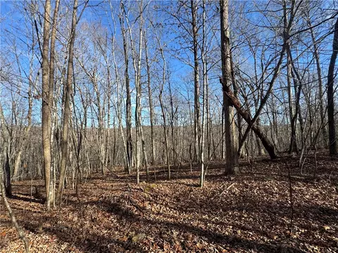 tbd 001 Plumlee Rd, Compton, AR 72611 photo 18