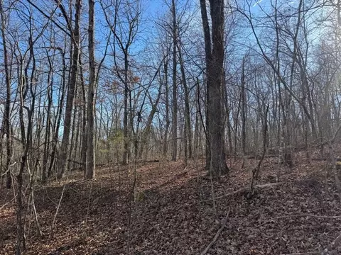 tbd 001 Plumlee Rd, Compton, AR 72611 photo 22