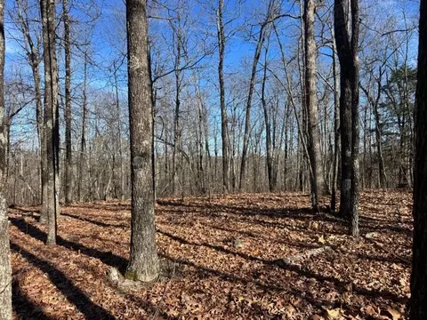 tbd 001 Plumlee Rd, Compton, AR 72611 photo 2