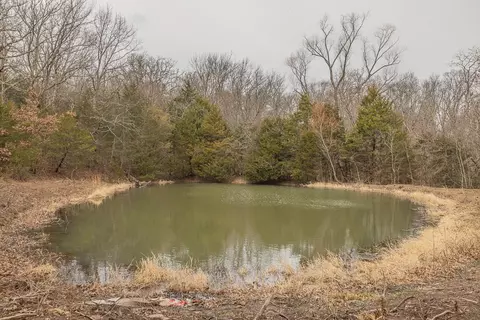 10706 Wooton, West Fork, AR 72774 photo 33
