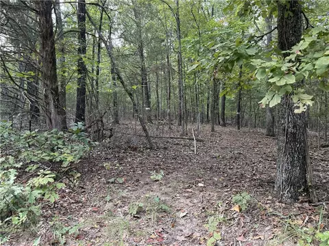 Lower Place Drive, Lead Hill, AR 72644