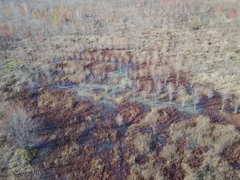 000 River Rd, Dyer, AR 72935 photo 20
