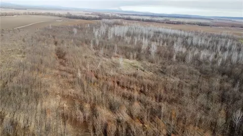 000 River Rd, Dyer, AR 72935 photo 21