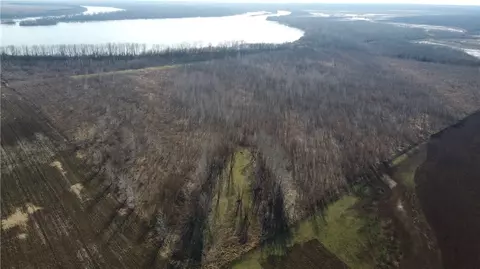 000 River Rd, Dyer, AR 72935 photo 33