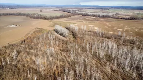 000 River Rd, Dyer, AR 72935 photo 23