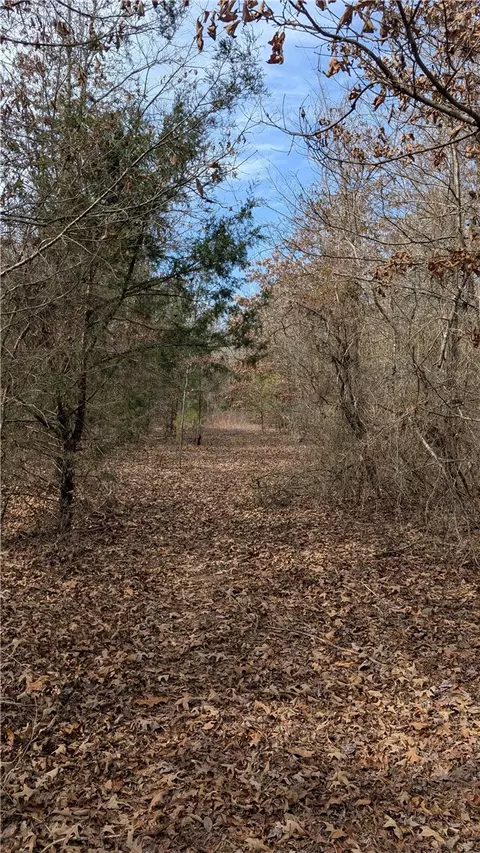 124 Highway Hwy, Appleton, AR 72823