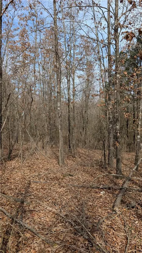 124 Highway Hwy, Appleton, AR 72823 photo 7