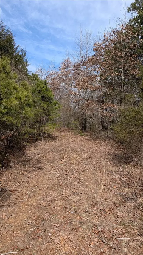 124 Highway Hwy, Appleton, AR 72823 photo 8