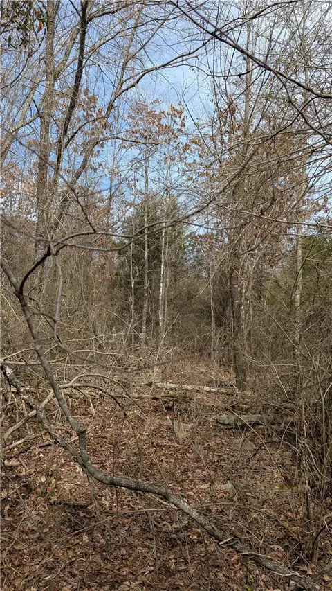 124 Highway Hwy, Appleton, AR 72823 photo 3