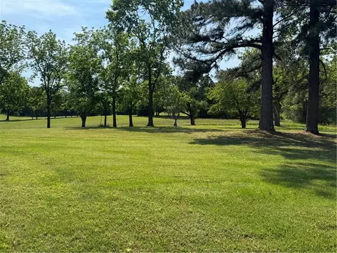 3113 Savannah Dr, Harrison, AR 72601 photo 9