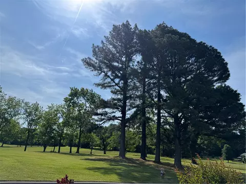 3113 Savannah Dr, Harrison, AR 72601 photo 2