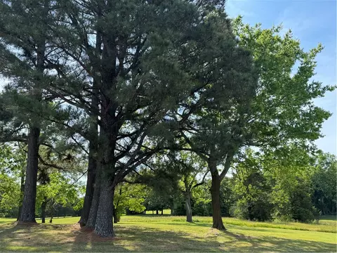 3113 Savannah Dr, Harrison, AR 72601 photo 3