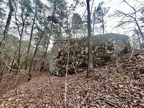 00 Nc 6870, Jasper, AR 72641 photo 10