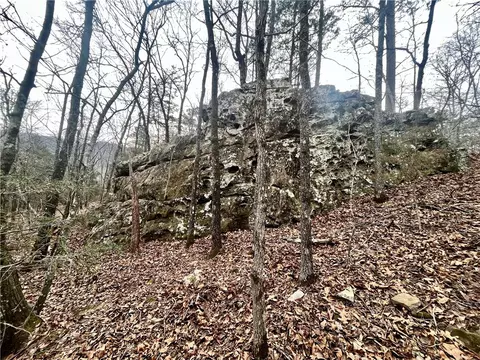 00 Nc 6870, Jasper, AR 72641 photo 12