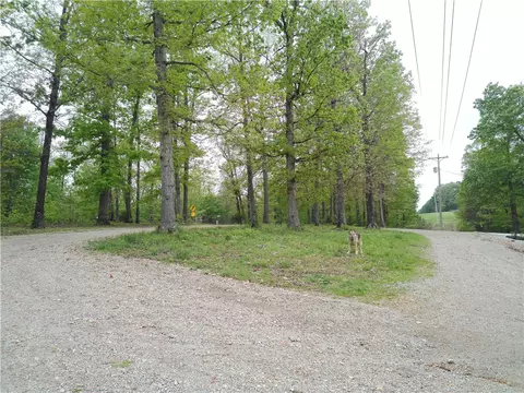 Exterior - 9101 E State Highway 90, Pineville, MO 64856 photo 9 of 9