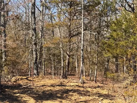 tbd Apt 2 Dunkard Rd, Harrison, AR 72601 photo 10