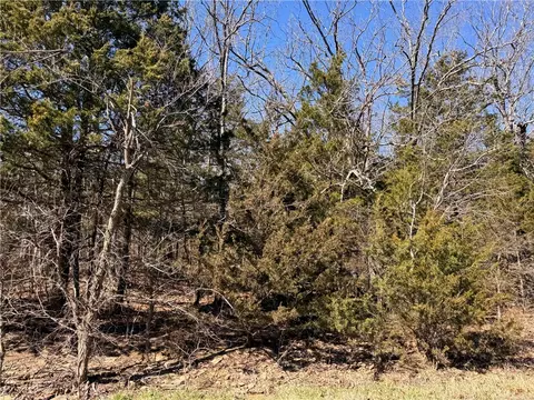 tbd Apt 2 Dunkard Rd, Harrison, AR 72601 photo 9