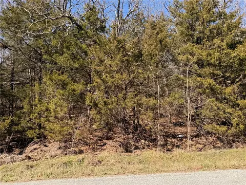 tbd Apt 2 Dunkard Rd, Harrison, AR 72601 photo 8
