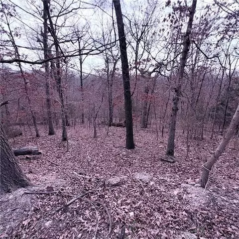 lot12 13 Hoyer Ln, Bella Vista, AR 72714