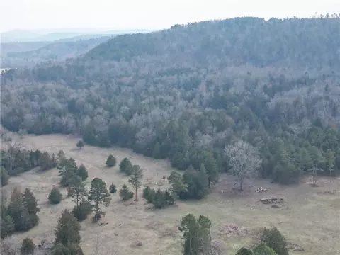 Broomfield, Dover, AR 72837 photo 9