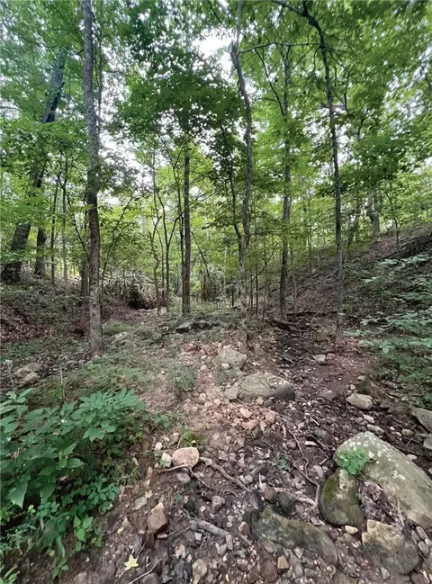 Terrapin Road, Harrison, AR 72601 photo 8
