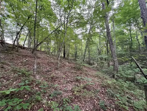 Terrapin Road, Harrison, AR 72601 photo 4