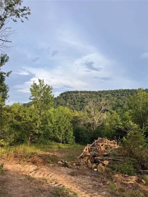 Terrapin Road, Harrison, AR 72601 photo 6