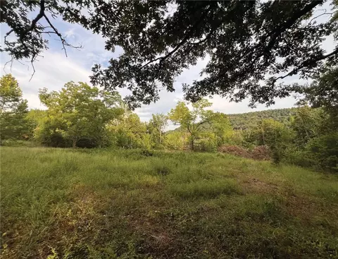 Terrapin Road, Harrison, AR 72601