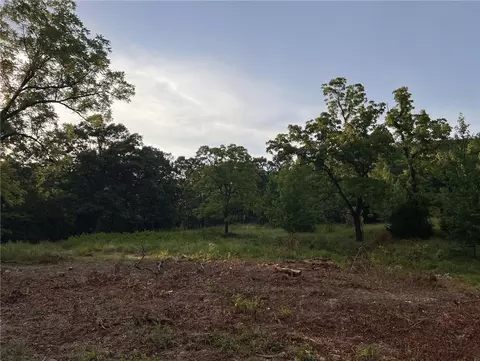 Terrapin Road, Harrison, AR 72601 photo 7