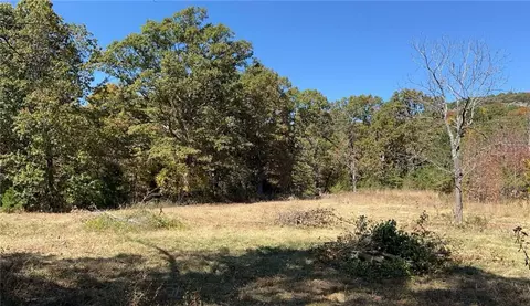 Terrapin Road, Harrison, AR 72601 photo 5