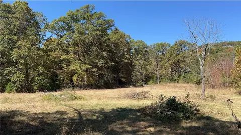 Terrapin Road, Harrison, AR 72601 photo 2