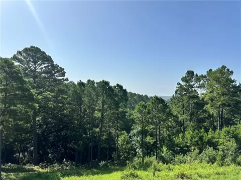 View/Area - 469076 E 595 Rd, Watts, OK 74964 photo 1 of 1