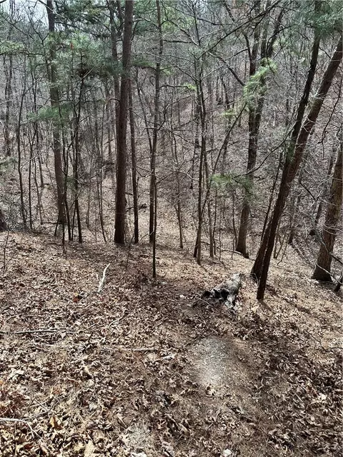 Other - 469076 E 595 Rd, Watts, OK 74964 photo 1 of 8