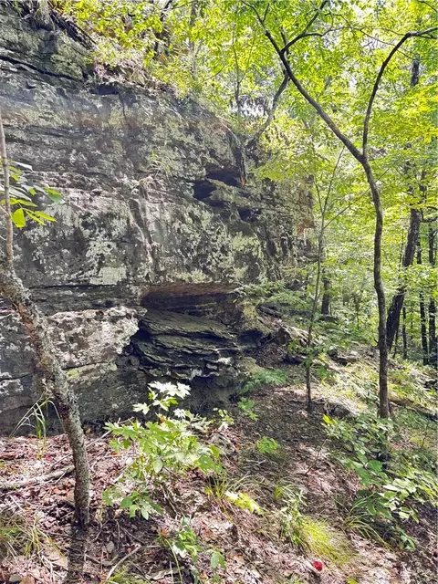 tbd W Devils Den Rd, West Fork, AR 72774 photo 10