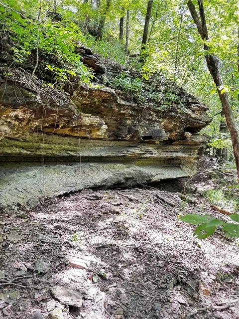 tbd W Devils Den Rd, West Fork, AR 72774 photo 12