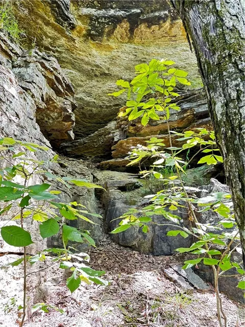 tbd W Devils Den Rd, West Fork, AR 72774 photo 9