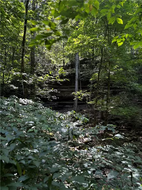 tbd W Devils Den Rd, West Fork, AR 72774 photo 5