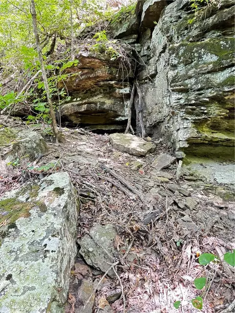 tbd W Devils Den Rd, West Fork, AR 72774 photo 13