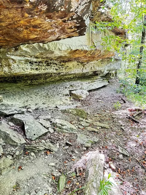tbd W Devils Den Rd, West Fork, AR 72774 photo 8