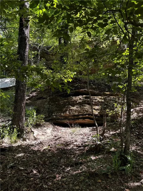 tbd W Devils Den Rd, West Fork, AR 72774 photo 6