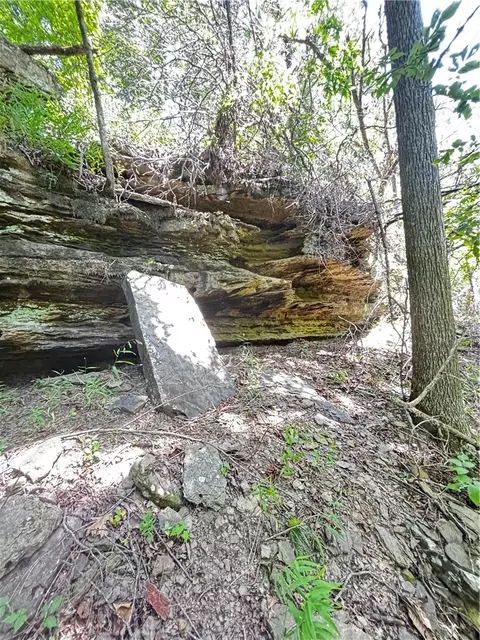 tbd W Devils Den Rd, West Fork, AR 72774 photo 15