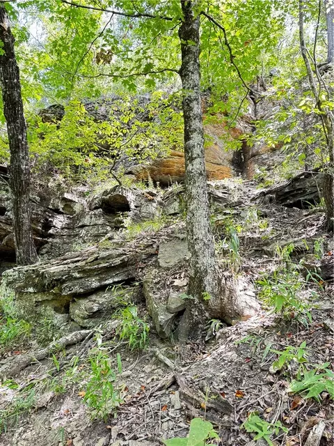 tbd W Devils Den Rd, West Fork, AR 72774 photo 11