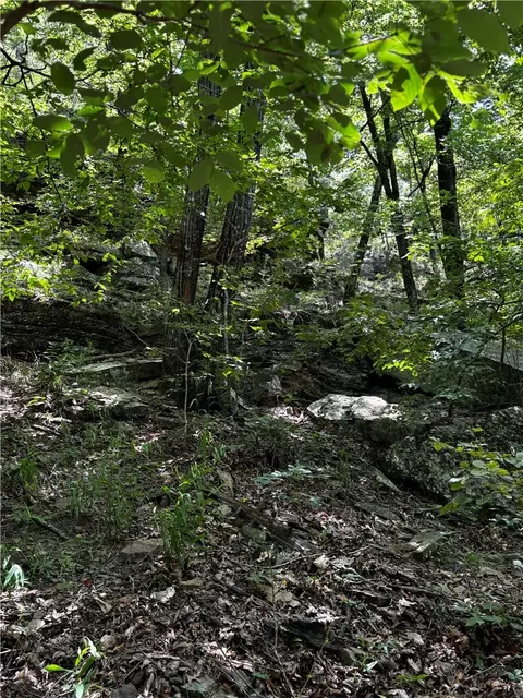 tbd W Devils Den Rd, West Fork, AR 72774 photo 7