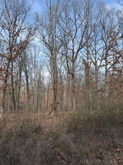 Carronbridge Lane, Bella Vista, AR 72715