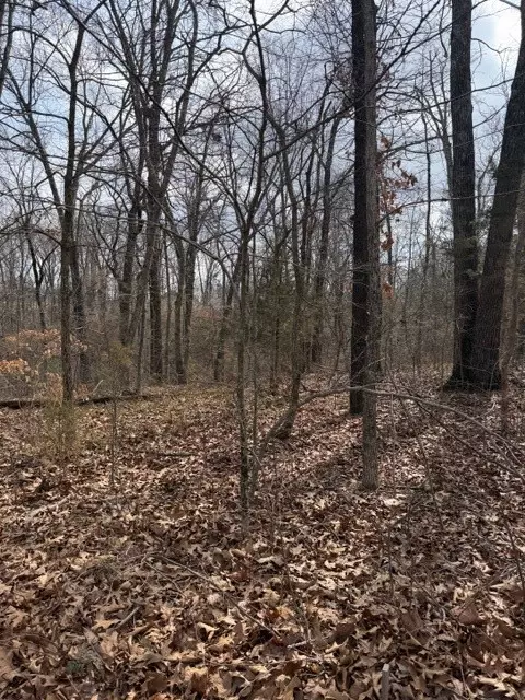 Bankfoot Lane, Bella Vista, AR 72715