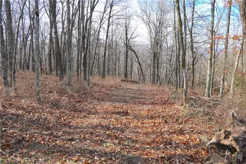 000 Ar-103, Compton, AR 72624 photo 50